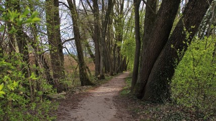 Natuurwandeling in Lozer (Kruisem)